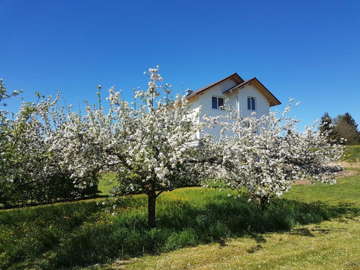 Ferienwohnung Buehlingen ロットヴァイル エクステリア 写真